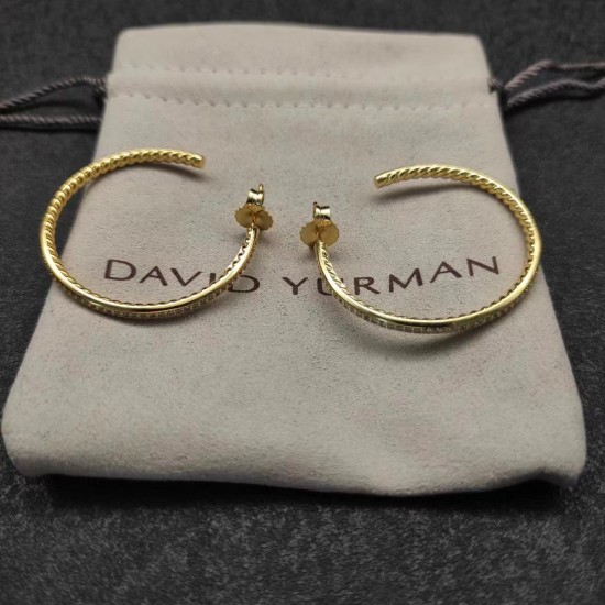 David Jewelry Earrings