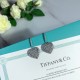 Tiffany Jewelry Earrings
