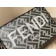 Fendi Bags Camera bag Top Quality