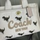 Coach Bags High Quality