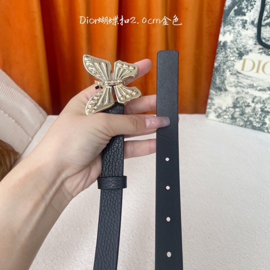 Dior Belts
 Top Quality