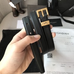 YSL Belts
 Top Quality