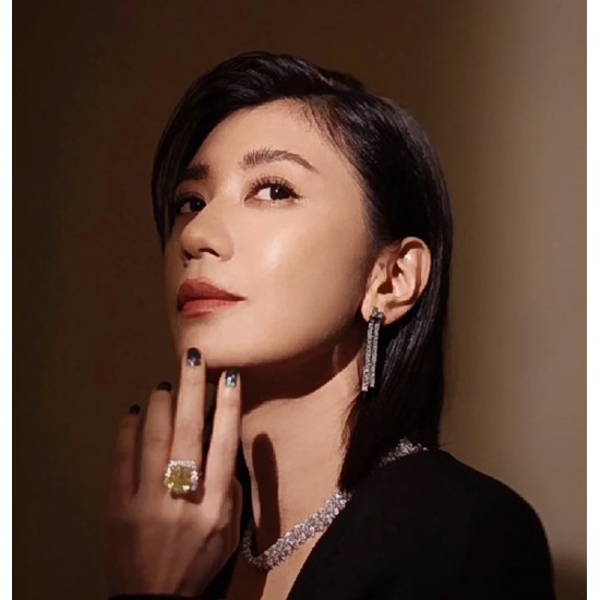 Tiffany Jewelry Earrings