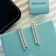 Tiffany Jewelry Earrings