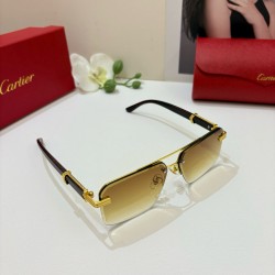 Cartier Glasses