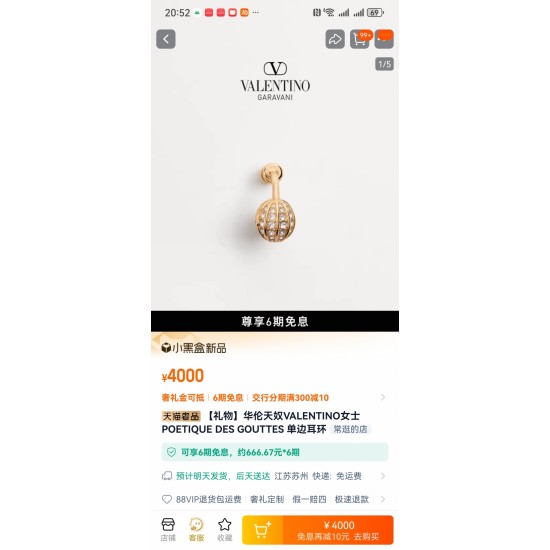 Valentino Jewelry Earrings