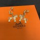 Hermes Jewelry Earrings