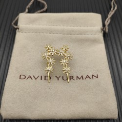 David Jewelry Earrings