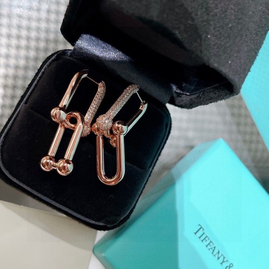 Tiffany Jewelry Earrings