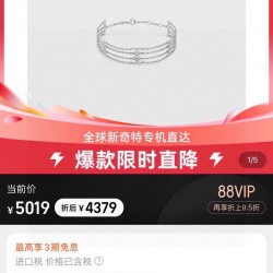 Celine Jewelry Bracelet