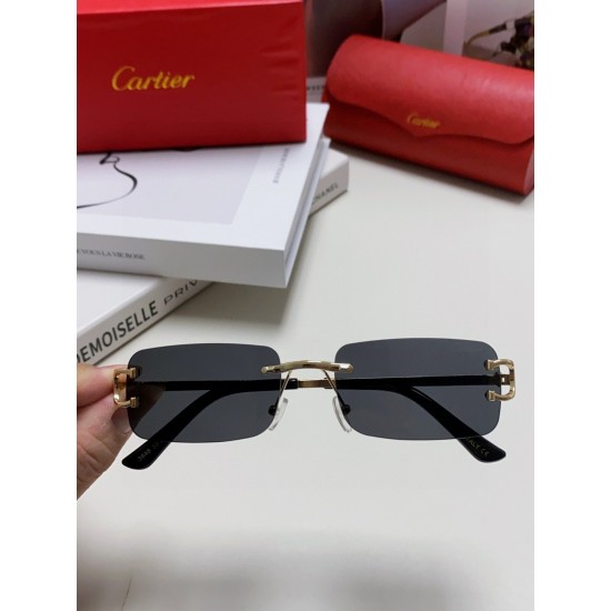 Cartier Glasses