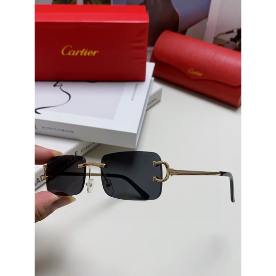 Cartier Glasses