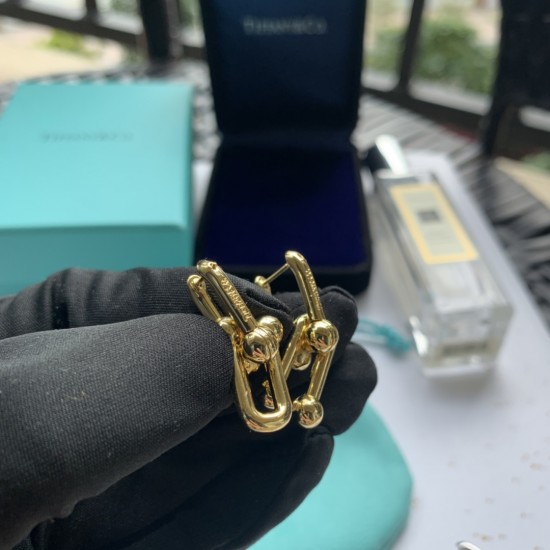 Tiffany Jewelry Earrings