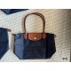 longchamp Bags Top Quality size：17*10cm