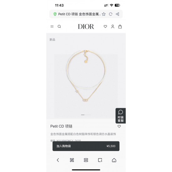 Dior Jewelry Necklace