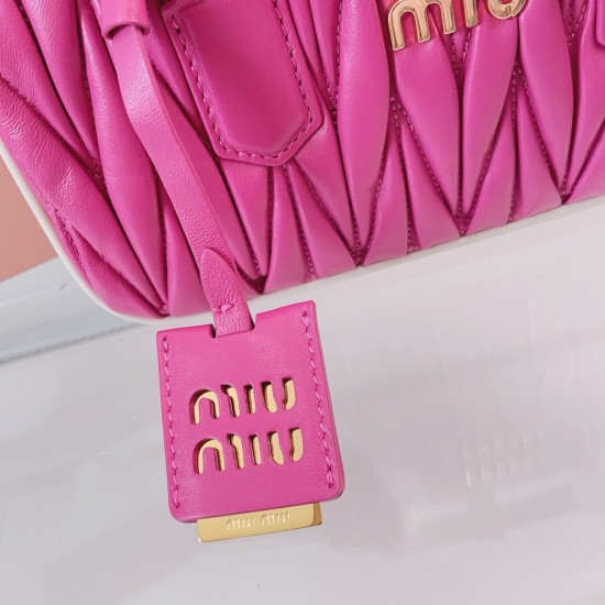 MiuMiu Bags Top Quality 22X10.5X7.5CM