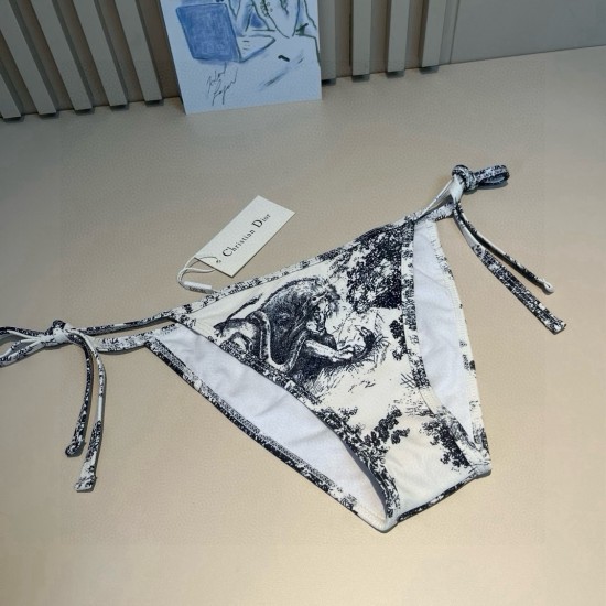 Dior Swimsuit