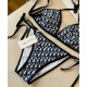 Dior Swimsuit