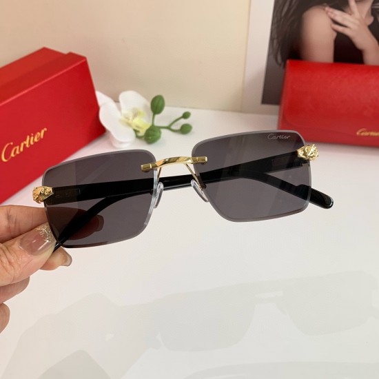 Cartier Glasses