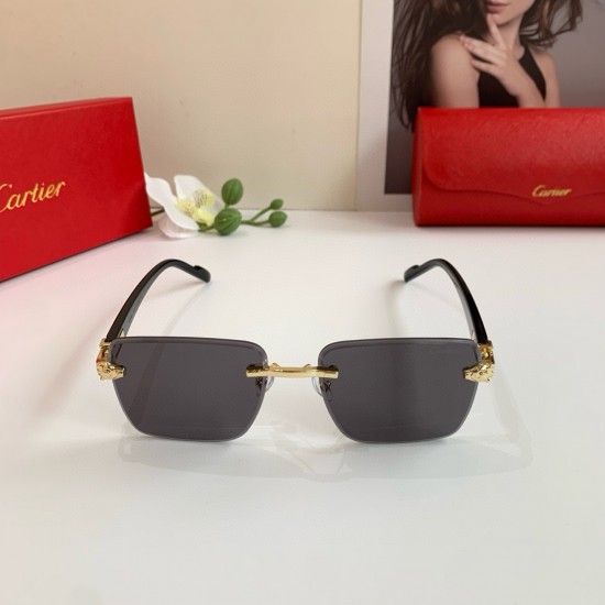 Cartier Glasses
