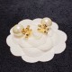 Celine Jewelry Earrings