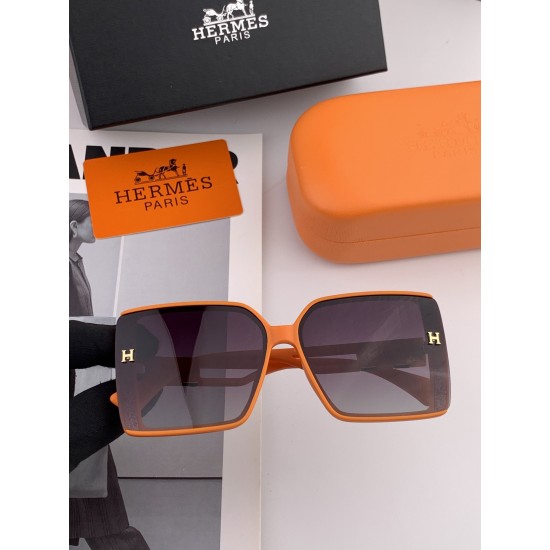 Hermes Glasses