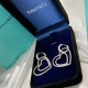 Tiffany Jewelry Earrings