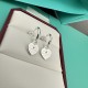 Tiffany Jewelry Earrings