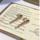 Bvlgari Jewelry Earrings