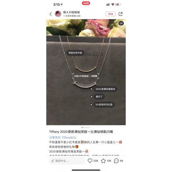 Tiffany Jewelry Necklace