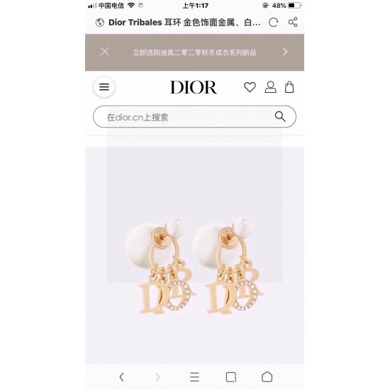 Dior Jewelry Earrings