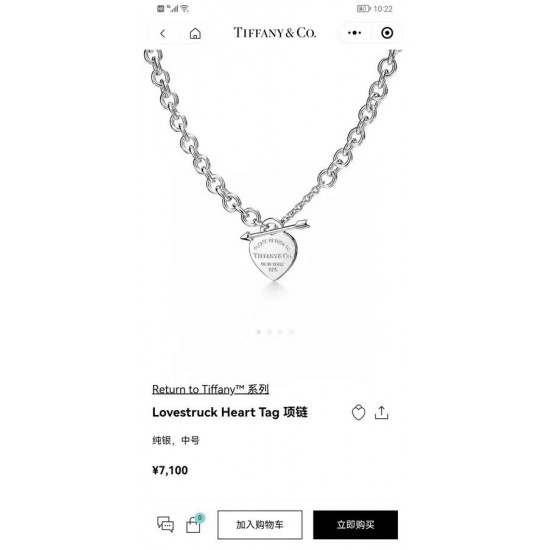 Tiffany Jewelry Necklace