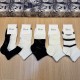 Dior Socks