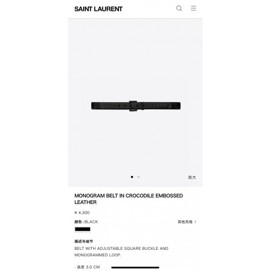 YSL Belts
 Top Quality