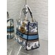 Dior Bags Top Quality
Five Grid