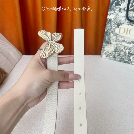 Dior Belts
 Top Quality