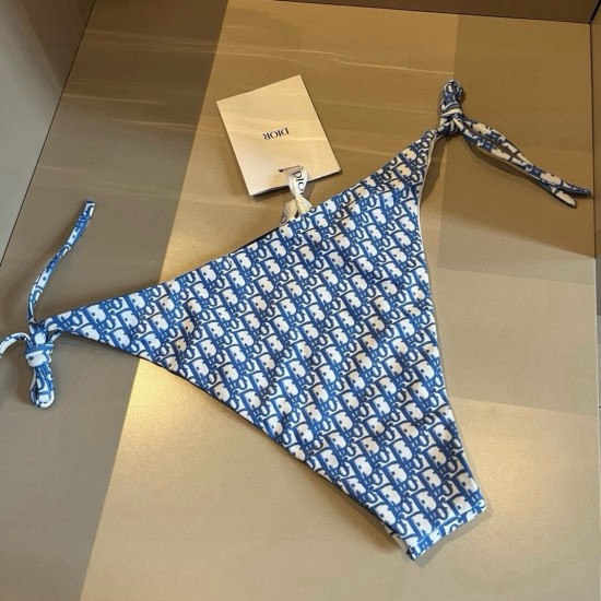 Dior Swimsuit