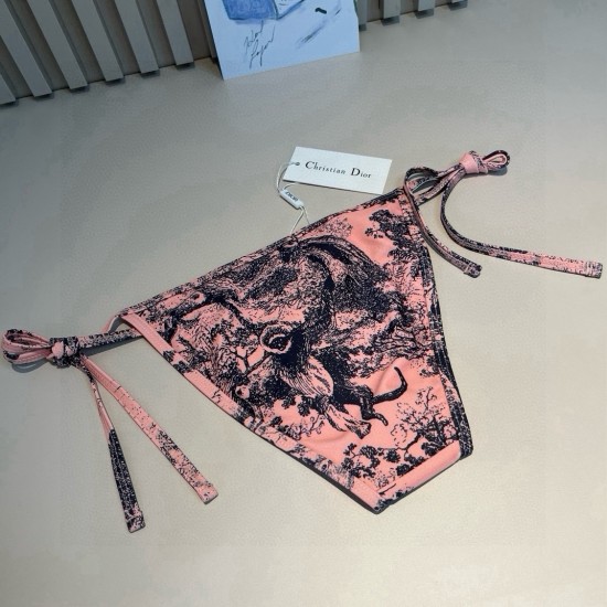 Dior Swimsuit