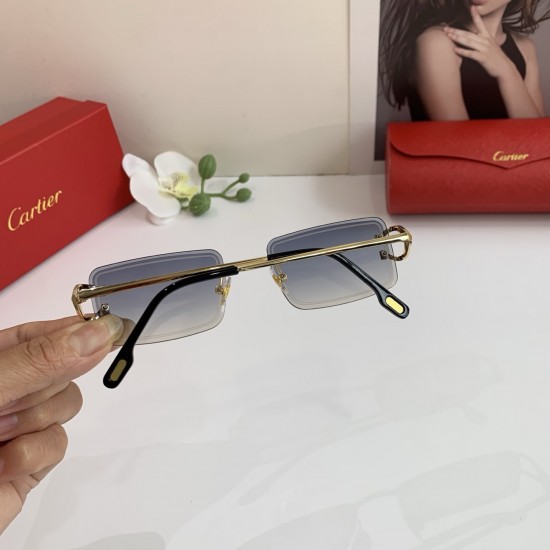 Cartier Glasses