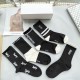 YSL Socks