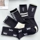 YSL Socks
