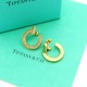 Tiffany Jewelry Earrings