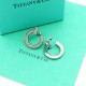 Tiffany Jewelry Earrings