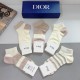 Dior Socks