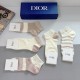 Dior Socks