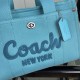 Coach Bags High Quality