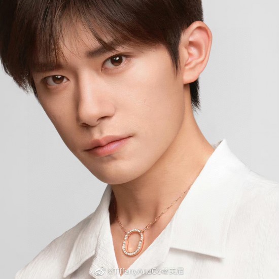 Tiffany Jewelry Necklace