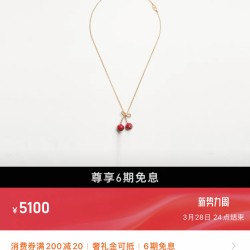 Valentino Jewelry Earrings