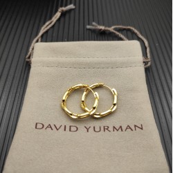 David Jewelry Earrings
