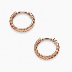 David Jewelry Earrings